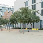 Canela Homes Barcelona Park Gueell